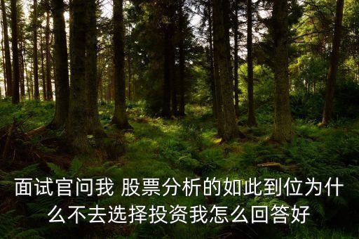 面試官問(wèn)我 股票分析的如此到位為什么不去選擇投資我怎么回答好