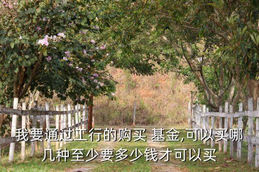 我要通過工行的購(gòu)買 基金,可以買哪幾種至少要多少錢才可以買