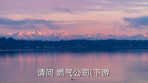 請問 燃?xì)夤?下游