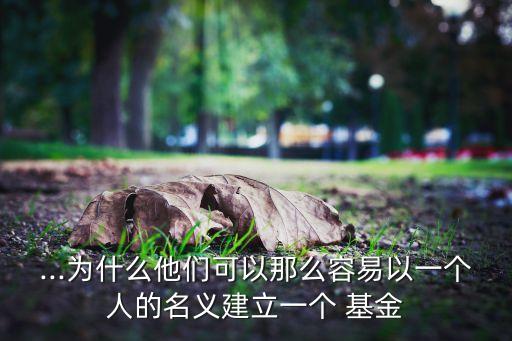 ...為什么他們可以那么容易以一個(gè)人的名義建立一個(gè) 基金