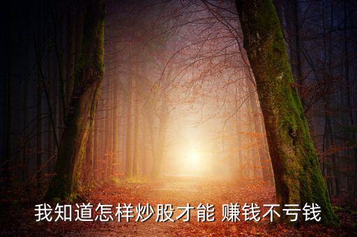 我知道怎樣炒股才能 賺錢不虧錢