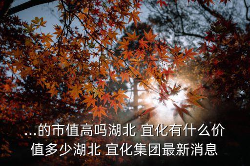 巴州宜化化工有限公司,新疆宜化化工有限公司招聘信息