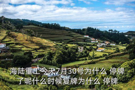 海陸重工今天7月30號為什么 停牌了呢什么時(shí)候復(fù)牌為什么 停牌