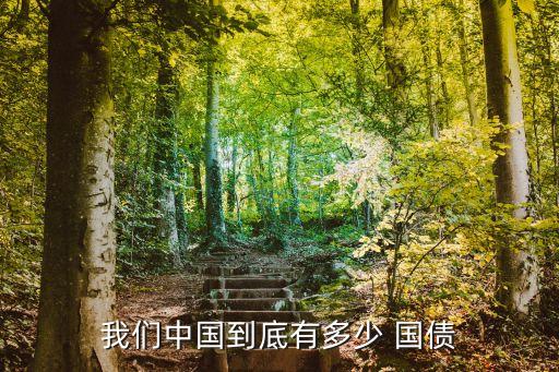 我們中國(guó)到底有多少 國(guó)債