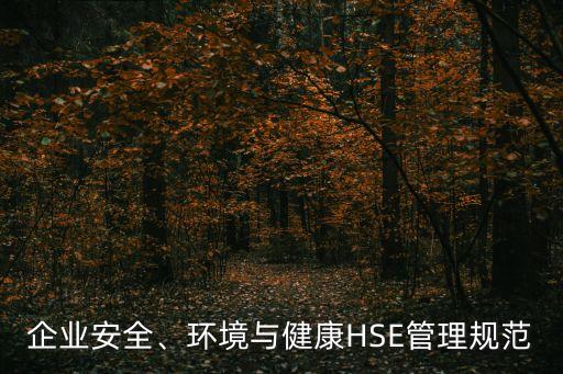 企業(yè)安全、環(huán)境與健康HSE管理規(guī)范