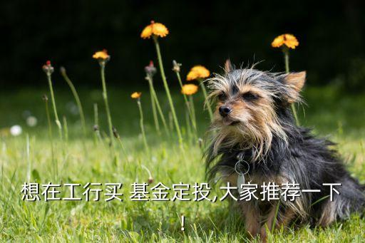 富國(guó)天益基金凈值查詢