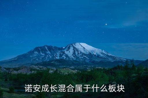  諾安成長混合屬于什么板塊