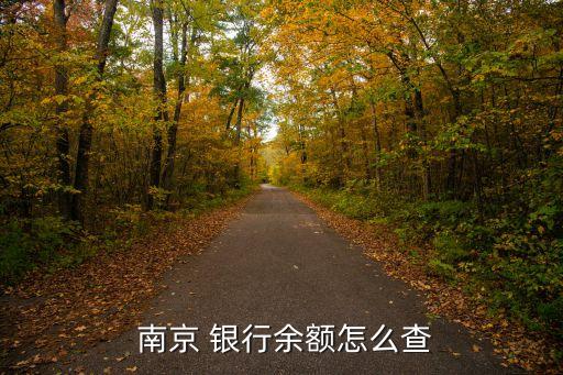 南京銀行在線咨詢(xún)