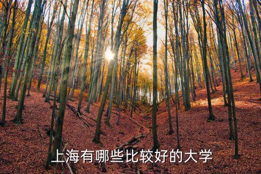 上海棟華最新消息