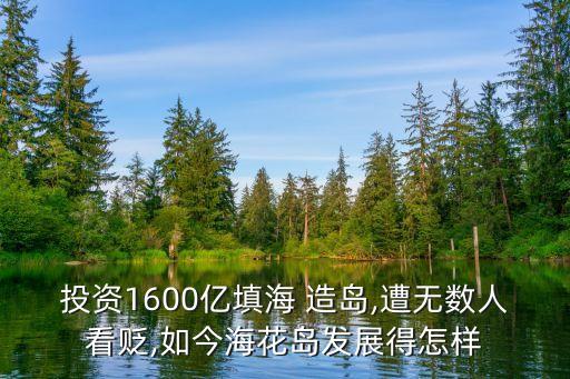 投資1600億填海 造島,遭無數(shù)人看貶,如今?；◢u發(fā)展得怎樣
