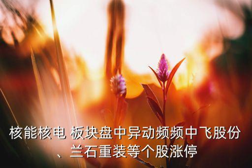 核能核電 板塊盤中異動(dòng)頻頻中飛股份、蘭石重裝等個(gè)股漲停