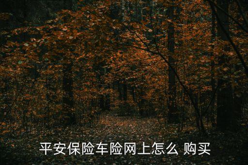  平安保險車險網上怎么 購買