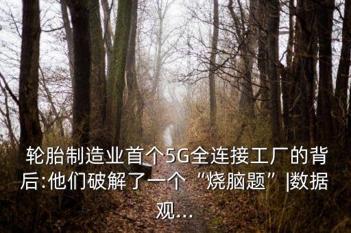  輪胎制造業(yè)首個(gè)5G全連接工廠的背后:他們破解了一個(gè)“燒腦題”|數(shù)據(jù)觀...