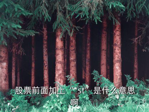  股票前面加上“*st”是什么意思啊
