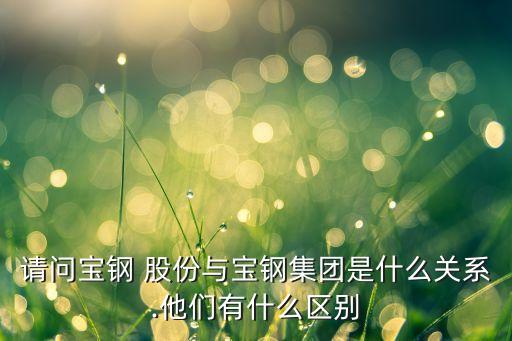 請問寶鋼 股份與寶鋼集團是什么關系.他們有什么區(qū)別