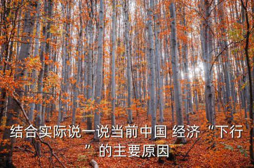 結(jié)合實際說一說當(dāng)前中國 經(jīng)濟(jì)“下行”的主要原因