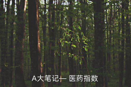 A大筆記— 醫(yī)藥指數(shù)