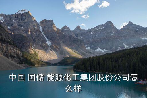 中國 國儲 能源化工集團(tuán)股份公司怎么樣