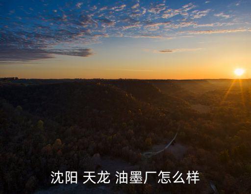 杭州天龍油墨有限公司,天龍油墨有限公司董事長
