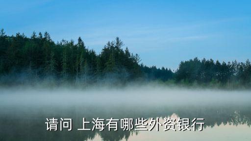 花旗銀行上海陸家嘴支行行長是誰,上海陸家嘴花旗銀行大廈