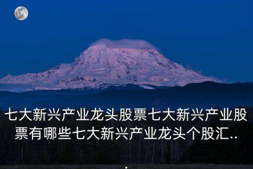 七大新興產業(yè)龍頭股票七大新興產業(yè)股票有哪些七大新興產業(yè)龍頭個股匯...