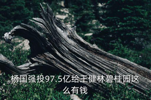 楊國(guó)強(qiáng)投97.5億給王健林碧桂園這么有錢(qián)