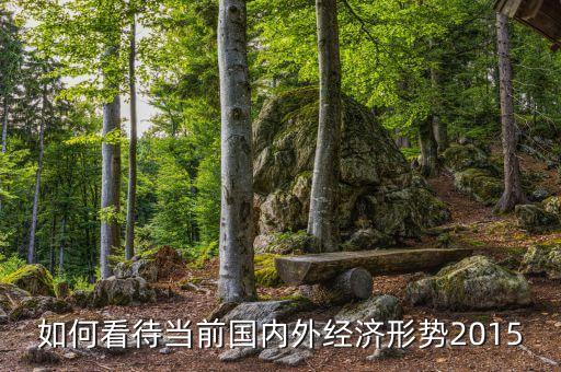 如何看待當前國內(nèi)外經(jīng)濟形勢2015