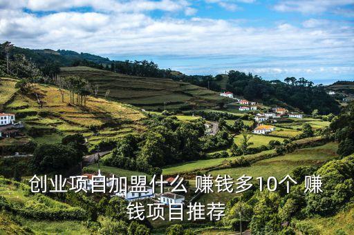 創(chuàng)業(yè)項(xiàng)目加盟什么 賺錢多10個(gè) 賺錢項(xiàng)目推薦