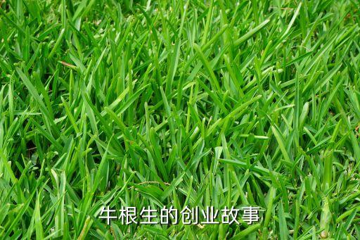 牛根生的創(chuàng)業(yè)故事