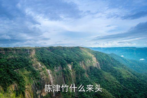 陳津竹什么來頭