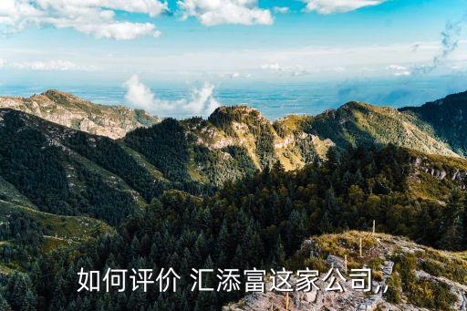 如何評價 匯添富這家公司,,