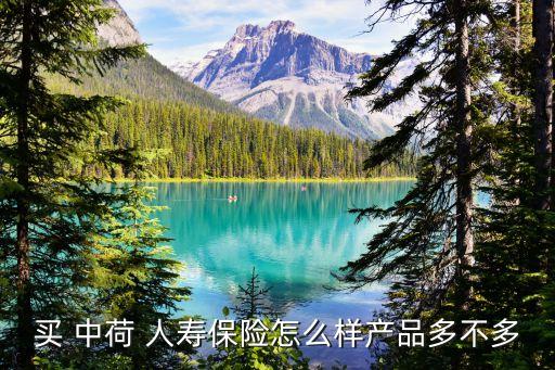 買(mǎi) 中荷 人壽保險(xiǎn)怎么樣產(chǎn)品多不多