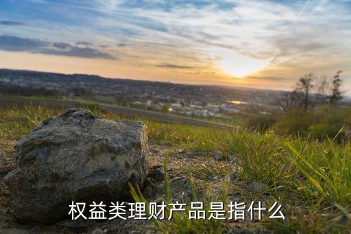 基金權(quán)益類產(chǎn)品,權(quán)益類基金是指什么