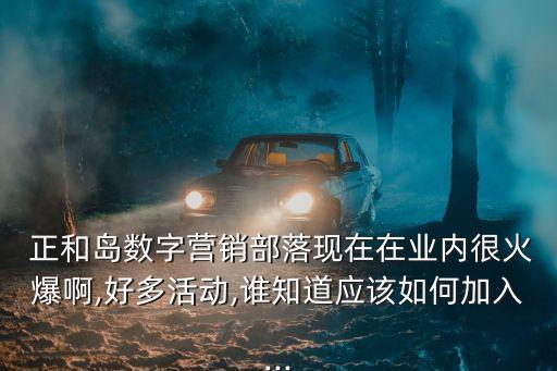  正和島數(shù)字營銷部落現(xiàn)在在業(yè)內(nèi)很火爆啊,好多活動,誰知道應該如何加入...