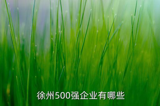  徐州500強(qiáng)企業(yè)有哪些
