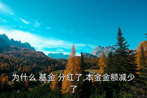 基金分紅凈值會(huì)變嗎,590002基金今天凈值
