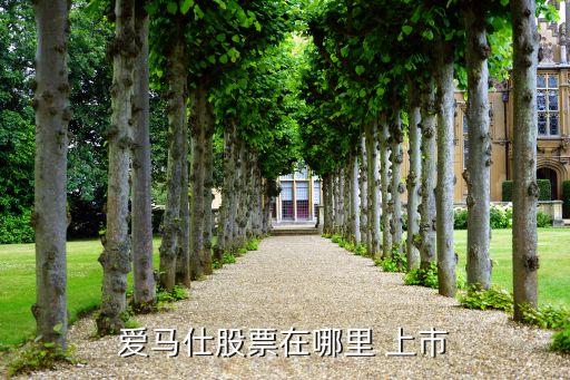愛馬仕股票在哪里 上市