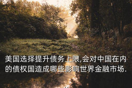 美國選擇提升債務(wù)上限,會(huì)對中國在內(nèi)的債權(quán)國造成哪些影響世界金融市場...