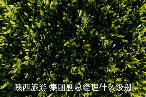 陜西旅游 集團(tuán)副總經(jīng)理什么級別