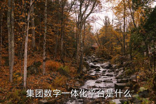 集團(tuán)數(shù)字一體化平臺是什么