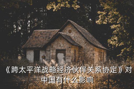 《跨太平洋戰(zhàn)略經(jīng)濟(jì)伙伴關(guān)系協(xié)定》對中國有什么影響