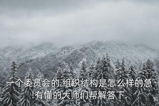 一個委員會的 組織結(jié)構(gòu)是怎么樣的急!有懂的大師們幫解答下.