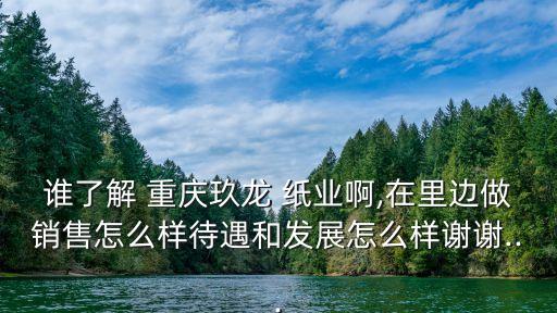 誰(shuí)了解 重慶玖龍 紙業(yè)啊,在里邊做銷(xiāo)售怎么樣待遇和發(fā)展怎么樣謝謝...