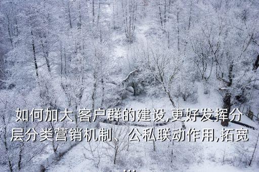 如何加大 客戶群的建設(shè),更好發(fā)揮分層分類營銷機(jī)制、公私聯(lián)動作用,拓寬...