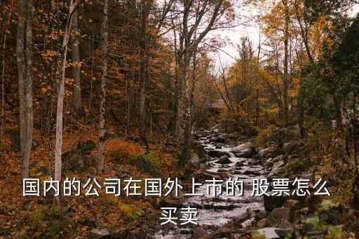 國內(nèi)的公司在國外上市的 股票怎么 買賣