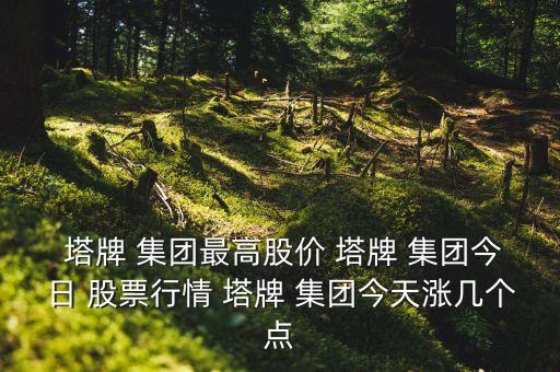  塔牌 集團(tuán)最高股價 塔牌 集團(tuán)今日 股票行情 塔牌 集團(tuán)今天漲幾個點(diǎn)