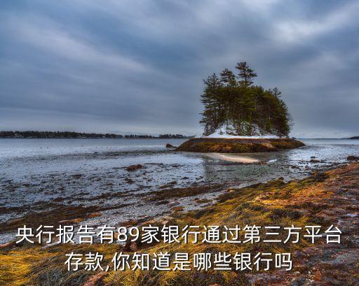 央行報(bào)告有89家銀行通過第三方平臺(tái)存款,你知道是哪些銀行嗎