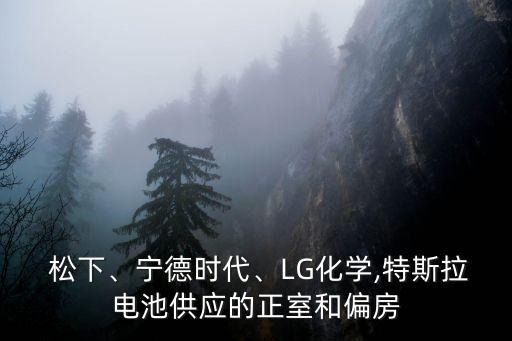  松下、寧德時(shí)代、LG化學(xué),特斯拉電池供應(yīng)的正室和偏房