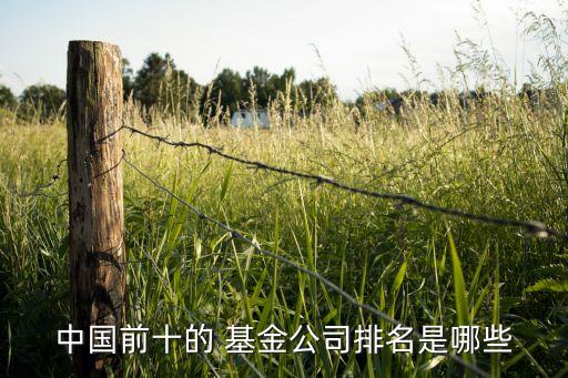 自購基金排行,2022基金排行