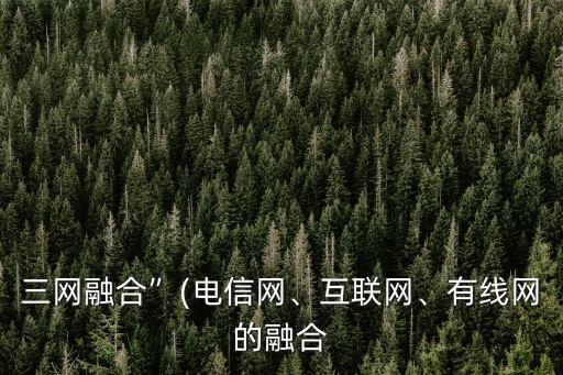 三網(wǎng)融合”(電信網(wǎng)、互聯(lián)網(wǎng)、有線網(wǎng)的融合